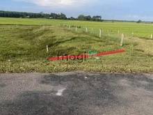 Hình ảnh ĐẤT THỔ CƯ Đi Bến Tỉnh, Long Thuận, Bến Cầu 138m² giá 525tr SHR