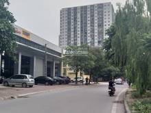 Hình ảnh Cho thuê mbkd mặt phố Trần Hòa, Hoàng Mai, 800m2, mt10m