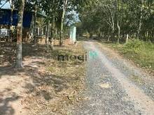 Hình ảnh Làm ăn lỗ cần bán gấp đất Tây Ninh để trả nợ 120m2 thổ cư giá 315tr