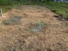 Hình ảnh MIẾNG BÁNH NGỌT cho nhà đầu tại Gò Dầu 200 full thổ cư giá TL 550Tr