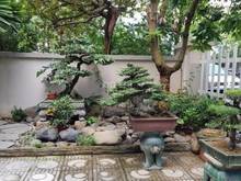 Hình ảnh Cho thuê biệt thự mặt phố Thụy Khuê, mặt tiền 8m