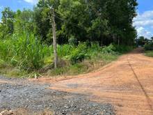 Hình ảnh Đất Thạnh Bình, Tân Biên Tây Ninh  DT : 7m x 32m FULL thổ cư LH:Nhung