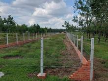Hình ảnh Ban đất ngộp Thái Bình, Châu Thành, Tây Ninh 166m2 thổ cư giá 500tr
