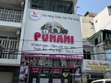 Hình ảnh Cho thuê nhà MT ngay Trương Công Định, TB; DT: 6x15M; 4 Tầng chỉ 25tr