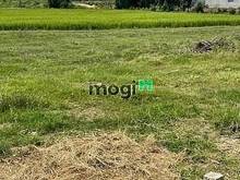 Hình ảnh BÁN ĐẤT NGUYÊN MIẾNG Suối Đá huyện Dương Minh Châu trợ vay 50% giá TL