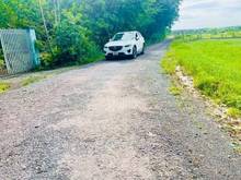 Hình ảnh SỔ HỒNG RIÊNG TỪNG NỀN bán đất Chà Là Bàu Năng Dương Minh Châu 270tr