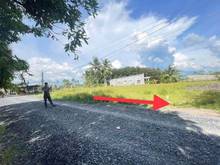 Hình ảnh Không đâu rẻ hơn đất LONG HÒA - LONG GIANG gần 200tr sở hữu ngay