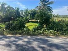 Hình ảnh Bán đất mặt tiền đường nhựa Cây Da, Hiệp Thành, Gò Dầu, Tây Ninh 399tr