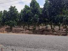 Hình ảnh Về quê sống nhượng lại lô đất tại Thanh Phước Gò Dầu Tây Ninh LH:Hạnh