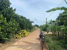 Hình ảnh Vì mở quán cafe nên khó khăn cần bán để  trả lương cho nhân viên.