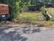 Hình ảnh Bể kèo bán đất đối diện chợ ninh sơn Tp.Tây Ninh giá chỉ 450 triệu shr