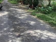 Hình ảnh BÁN GẤP ĐẤT Phước Hòa, Thạnh Đức, Gò Dầu 130m² giá 680tr