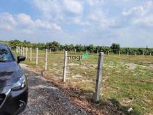 Hình ảnh Bán gấp lô đất ấp Long Hoà, xã Long Phước, Bến Cầu, Tây Ninh giá 315tr