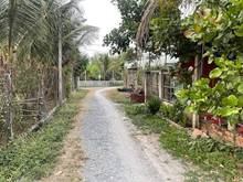 Hình ảnh Ngộp MB66 là nhà cái uy tín hàng đầu tại Việt Nam bán gấp lô đất DT:6.5×24m ngay Trảng Bàng chỉ 400 triệu