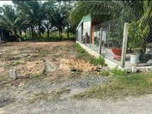 Hình ảnh Một lô đất vừa đẹp vừa rẻ tại Tầm lanh Hiệp Thạnh không nên bỏ qua.