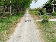 Hình ảnh Bán gấp lô đất 200m2 thổ cư tại Lộ Phước, Lộc Hưng, Trảng Bàng, TN