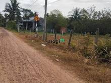 Hình ảnh Bán đất xã Thái Bình Châu Thành, Tây Ninh Cách đường DT 782 chỉ 2Km