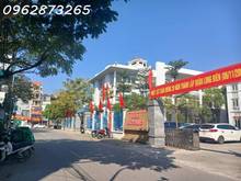 Hình ảnh Bán nhà phố hoa lâm, lệ mật -p việt hưng. 5 tầng, 5 phòng ngủ. dt