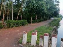 Hình ảnh Tân Phong - Tân Biên. Hiện trạng - Đường sỏi. DT: 320m2, 360 tr, SHR