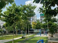 Hình ảnh Măt Tiền Khu Đăng Thuỳ Trâm(6,5x23m) xây dựng Hầm 5 Lầu, 93tr/m2