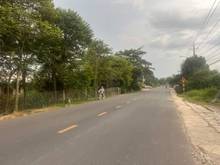 Hình ảnh 🛣️Bán gấp Mặt Tiền Trần Văn Trà - ấp Kinh Tế, Bình Minh Tp Tây Ninh