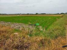 Hình ảnh 1/3 Xã truông mít, huyện Dương Minh Châu => DT; 52 x 36