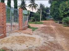 Hình ảnh Cần bán lô đất thạnh phước Thạnh bình Tây ninh  Dt 10*57 thổ cư 195m2