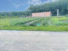 Hình ảnh 🔥Nơi an cư Lý Tưởng ngay KCN Phước Đông đất full thổ cư giá chỉ 650tr