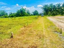 Hình ảnh NẰM TẠI TRUNG TÂM Phước Thạnh, Gò Dầu, 315tr, 198m²