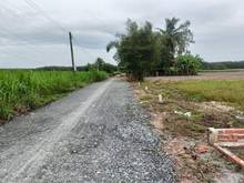 Hình ảnh Thiếu tiền trả nợ bán gấp đất Hiệp Bình, Hảo Đước, Châu Thành,Tây Ninh