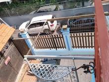 Hình ảnh 🌹Biệt thự đường Nam Kỳ Khởi Nghĩa Q.3  DT 10 x 17, 3 tầng 10phong 6wc