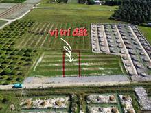Hình ảnh SỞ HỮU NGAY ĐẤT 105m² Lê Duẩn,Suối Ngô,Tân Châu với giá 620 triệu,SHR