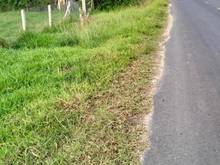 Hình ảnh Hỗ trợ tìm đất bán đất Tân Lập Tân Bình Tây Ninh