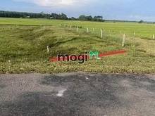 Hình ảnh ĐẤT FULL THỔ CƯ Đi Bến Tỉnh, Long Thuận, Bến Cầu 138m² giá 325tr SHR