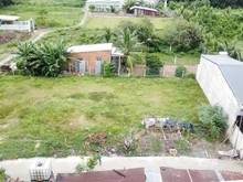 Hình ảnh Đường trước đất bê tông Thanh Phước Gò Dầu 95m²