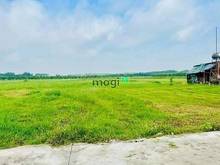 Hình ảnh KINH DOANH THUA LỖ đất Trường Lưu, Trường Tây, Hoà Thành 105m²giá410tr