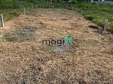 Hình ảnh MIẾNG BÁNH NGỌT cho nhà đầu tại Gò Dầu 200 full thổ cư giá TL 550Tr