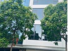 Hình ảnh Cho thuê tòa nhà Mỹ Đình, Nam Từ Liêm 85 mét, 7 tầng, thang máy