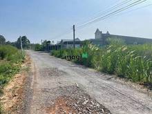 Hình ảnh Tân Phong - Tân Biên - Tây Ninh Mặt đường sỏi đỏ rộng to, sổ thể hiện