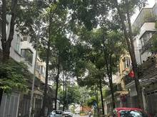 Hình ảnh Bán nhà liền kề KĐT Văn Phú Hà Đông