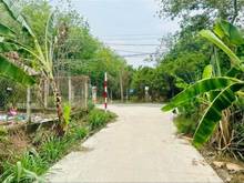 Hình ảnh Chủ cần tiền bán đất Hiệp Thạnh, Gò Dầu, Tây Ninh với giá cắt lỗ 499tr