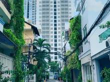 Hình ảnh Bán nhà Thành Thái p14 Q10 ngang 8m cn 75m hxh bàn cờ chỉ hơn 11 tỷ