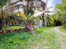 Hình ảnh Bán đất ngộp giá 653 triệu Tân Long, Hảo Đước, Châu Thành, Tây Ninh