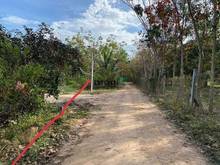 Hình ảnh Giá siêu rẻ chỉ 820 triệu Đất Phước Vinh- Châu Thành DT:10×41 full TC