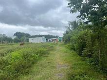 Hình ảnh CHỦ GỬI Trường Hòa, Hòa Thành, 568m2, 555 triệu, PLRR