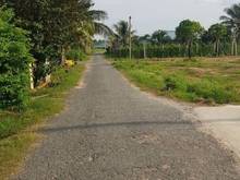 Hình ảnh SIÊU RẺ ĐẤT CHÂU THÀNH, TÂY NINH 150m2 chỉ 380 triệu giá 100%