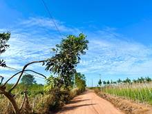 Hình ảnh Cuối năm Em ra giá lỗ luôn ạ ..Nhanh tay lụm 1 lô về ăn tết Anh chị ơi