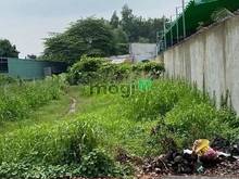 Hình ảnh GIÁ MỀM KV GÒ DẦU 140m² ĐL 784 Bàu Đồn giá 729tr có sổ riêng