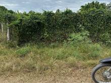 Hình ảnh Thanh lý cuối năm lô đất tại Hòa Thành Tây Ninh giá 525 triệu DT:342m2