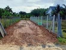 Hình ảnh LY HÔN BÁN ĐẤT MẶT TIỀN Tầm Lạnh, Phước Thạnh, Gò Dầu 130m² giá 630tr